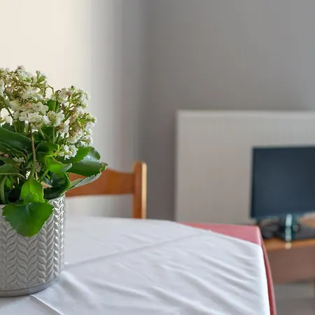 Ammousa Hotel apartamentowy Lixouri