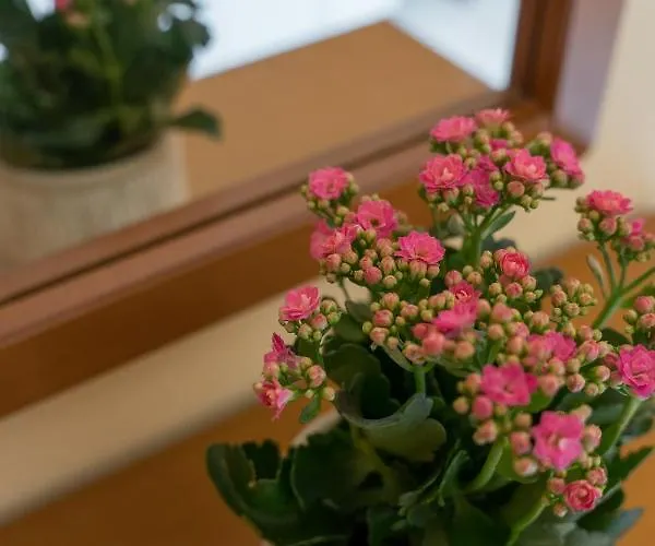 아파트호텔 Ammousa