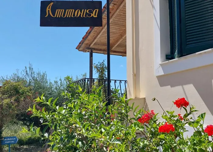 아파트호텔 Ammousa